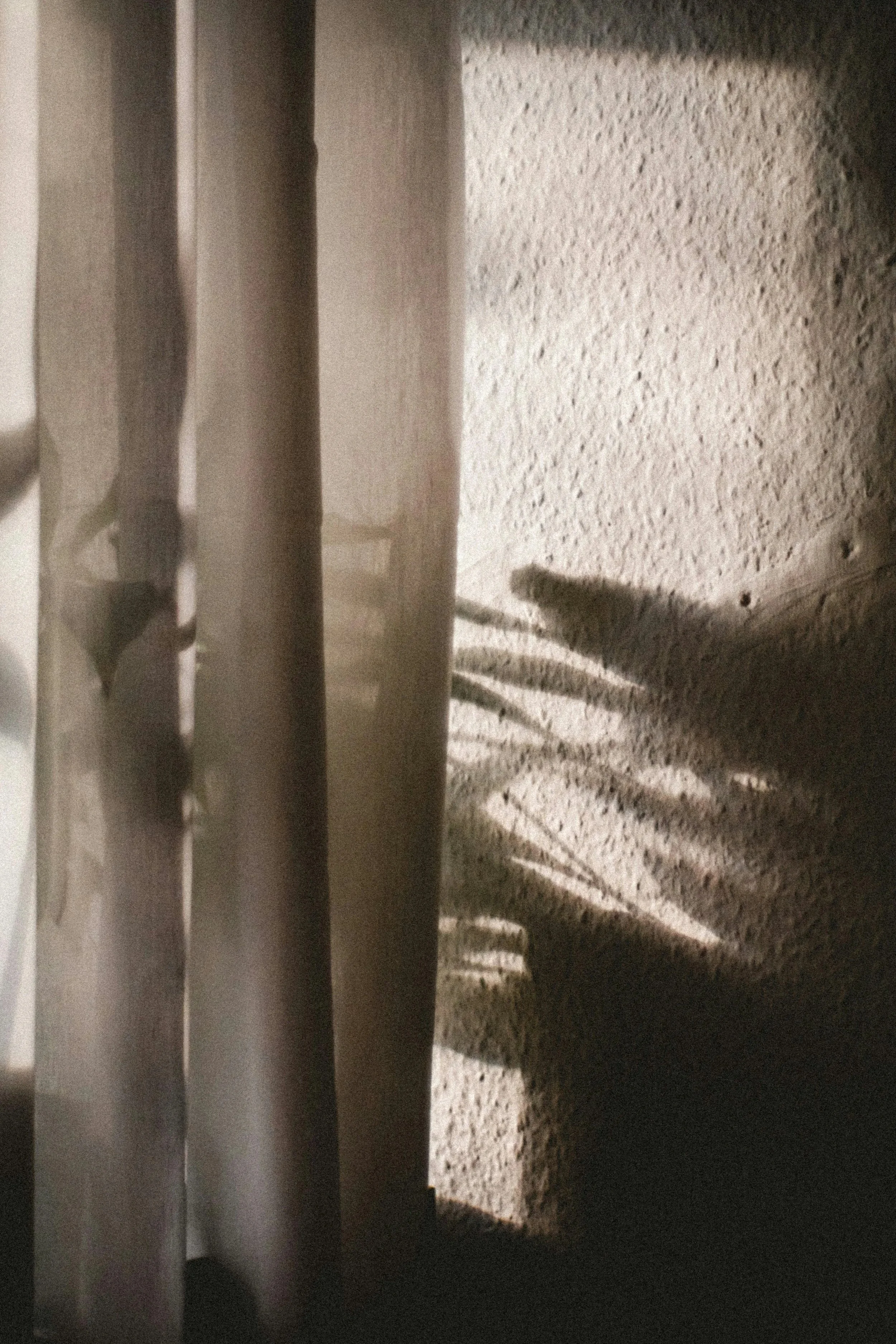Shadows of a person and furniture cast on a textured wall in a dimly lit room.