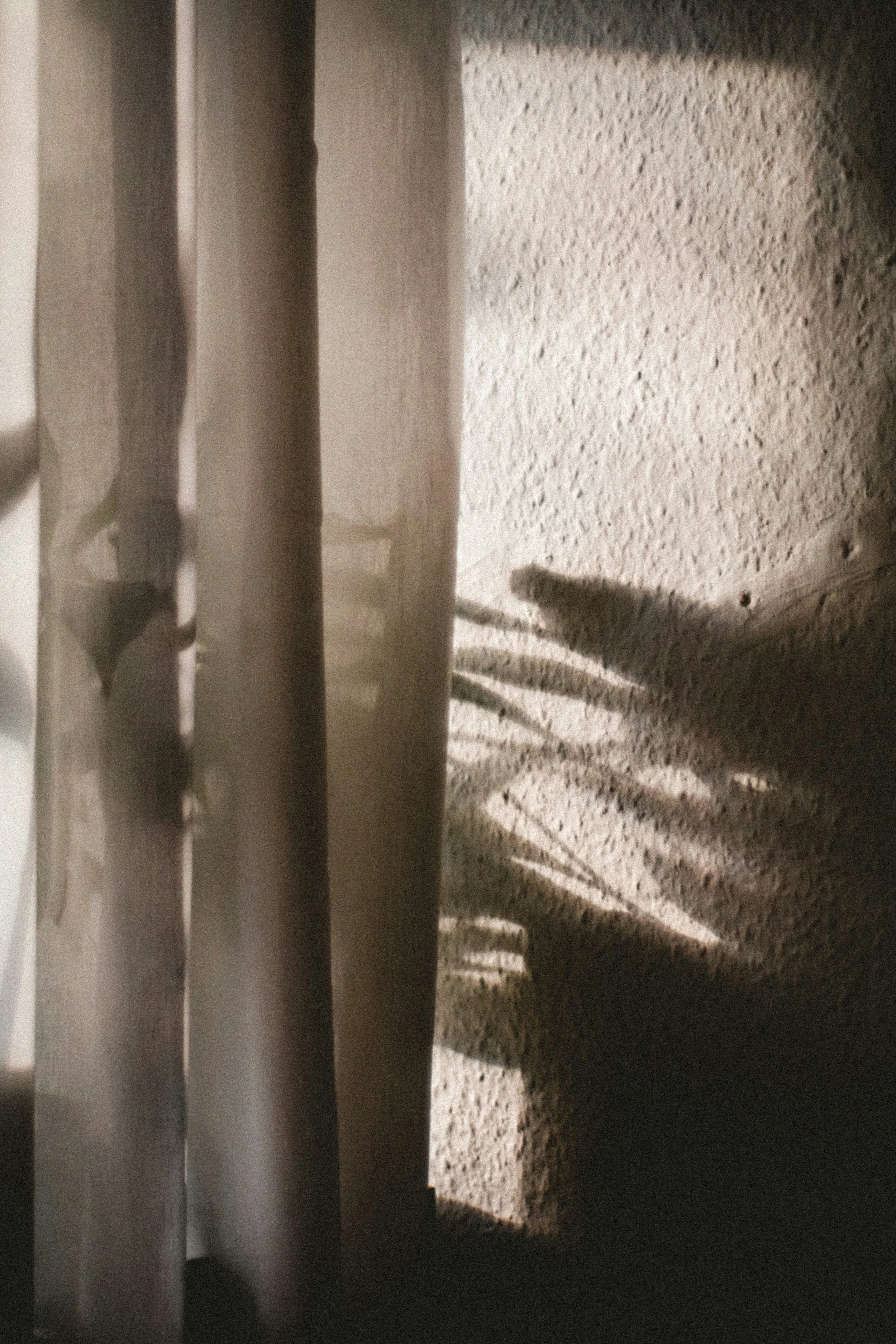 Shadows on a textured wall cast by furniture or objects next to a wall, with warm lighting creating distinct shadow patterns.