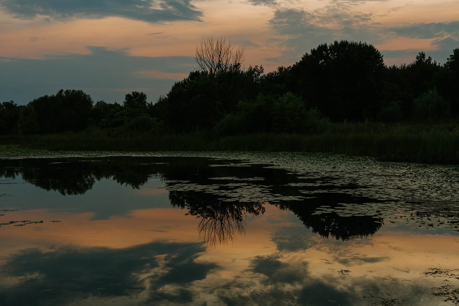 Why Dreamwork In Therapy?