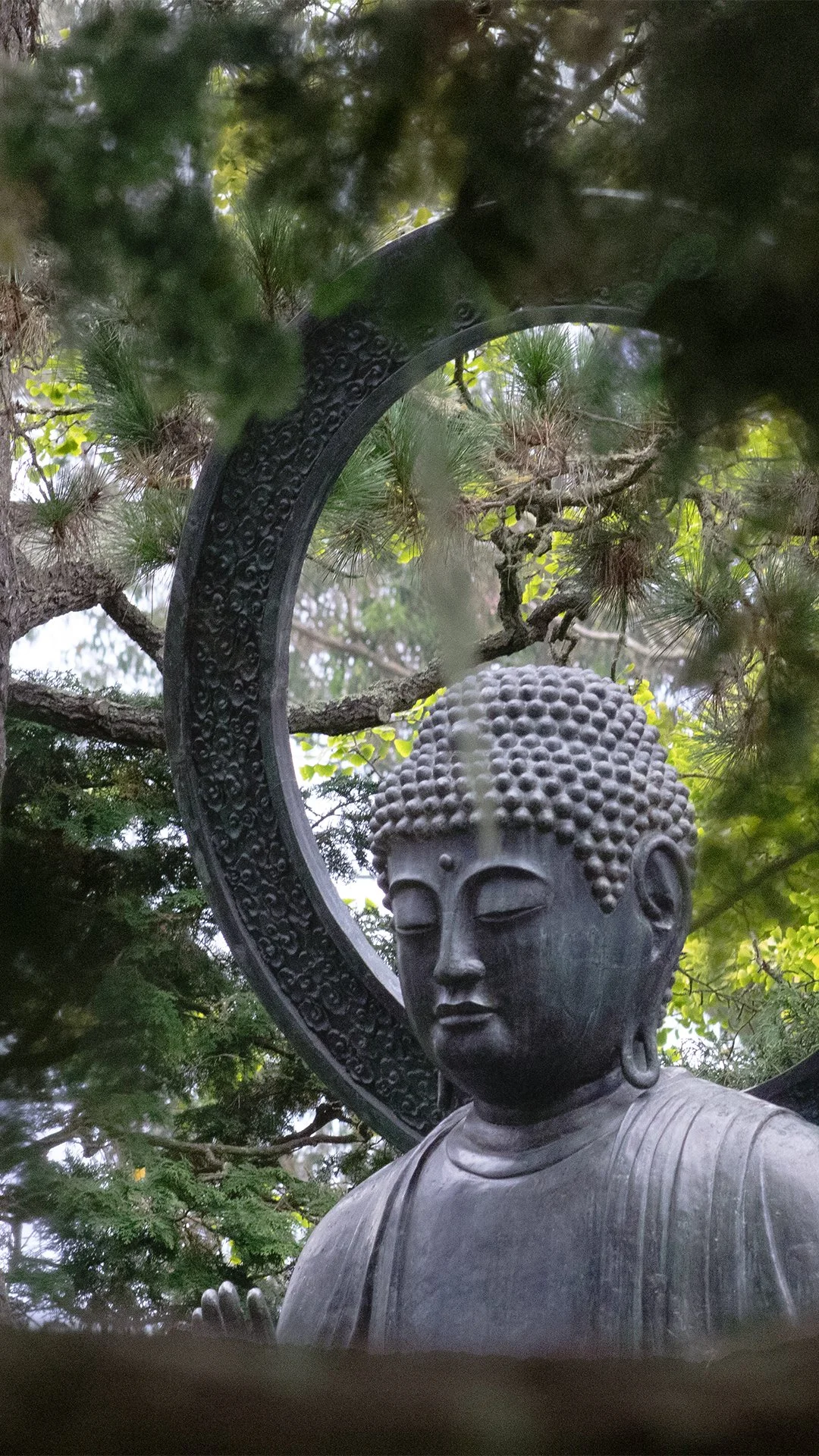 reelbudda.jpg