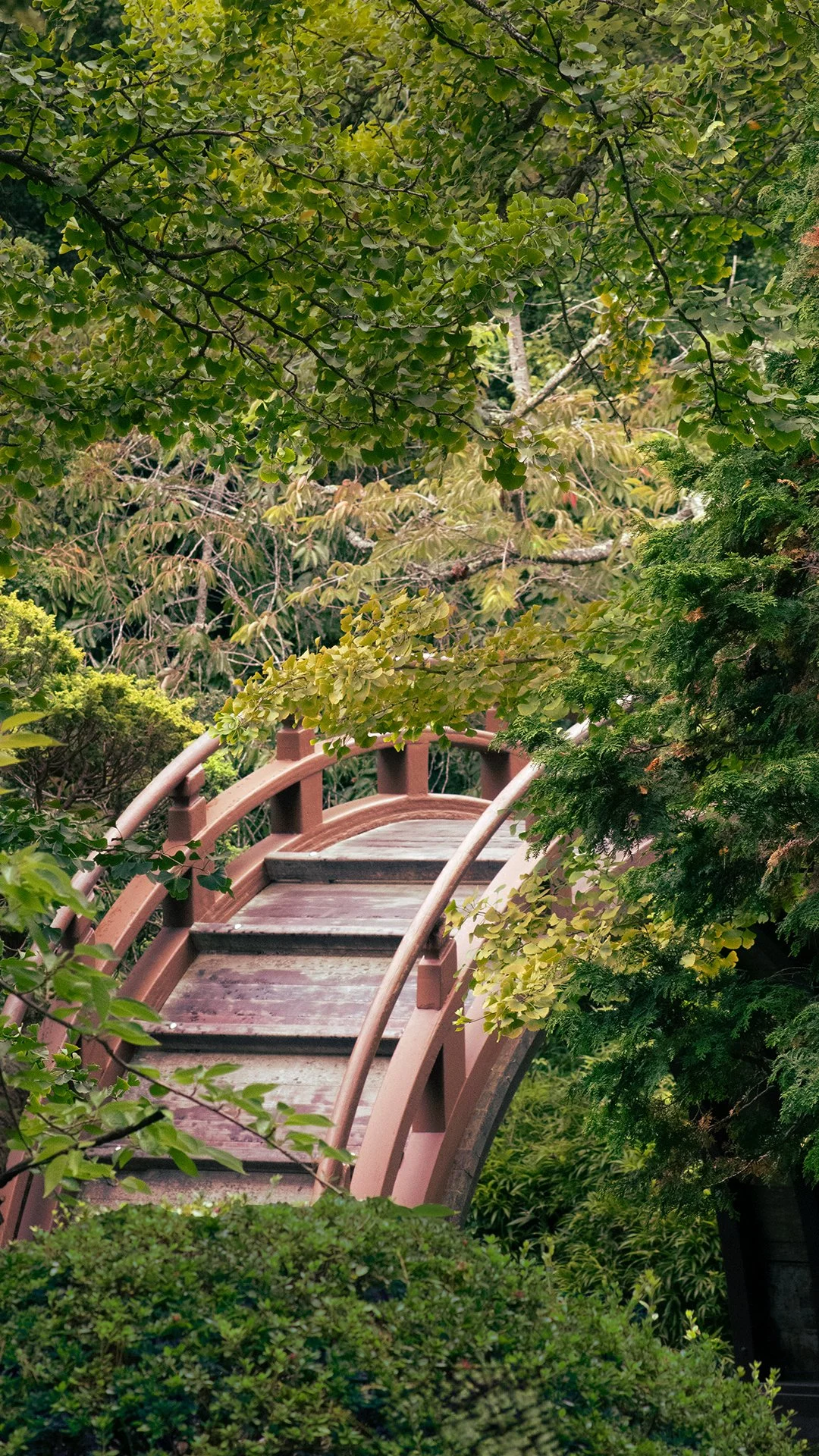 Bridge reels.jpg