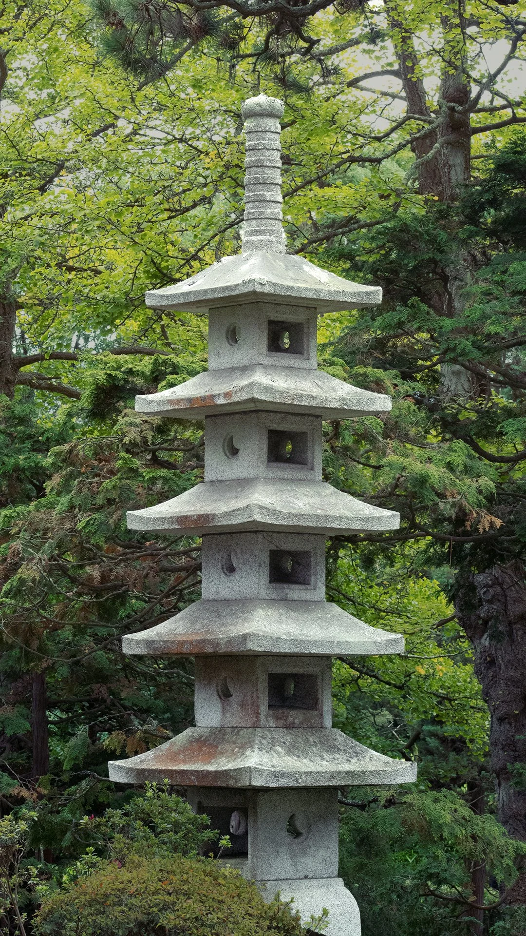 towerreel.jpg