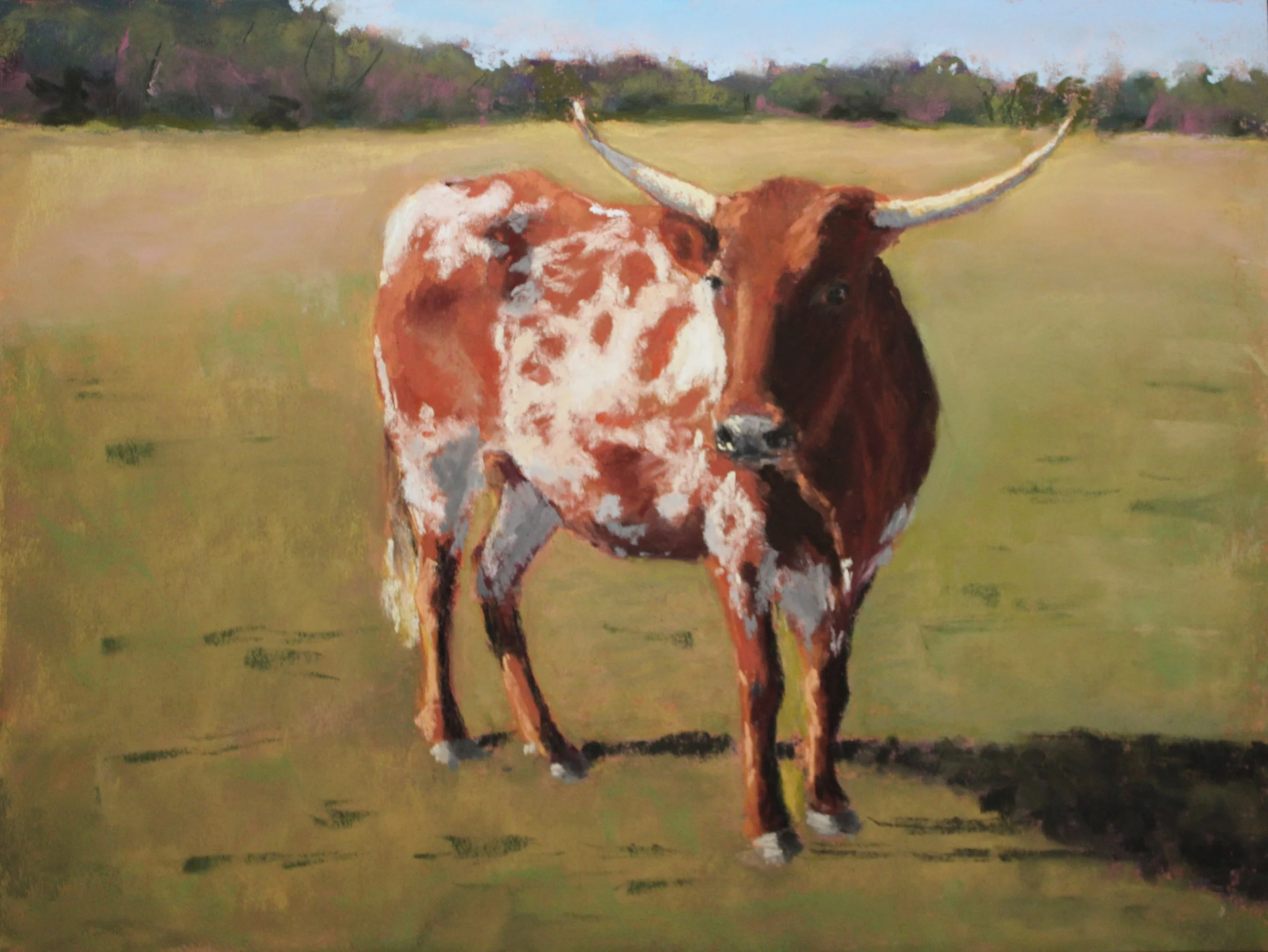 Chillin' at the Y Knot