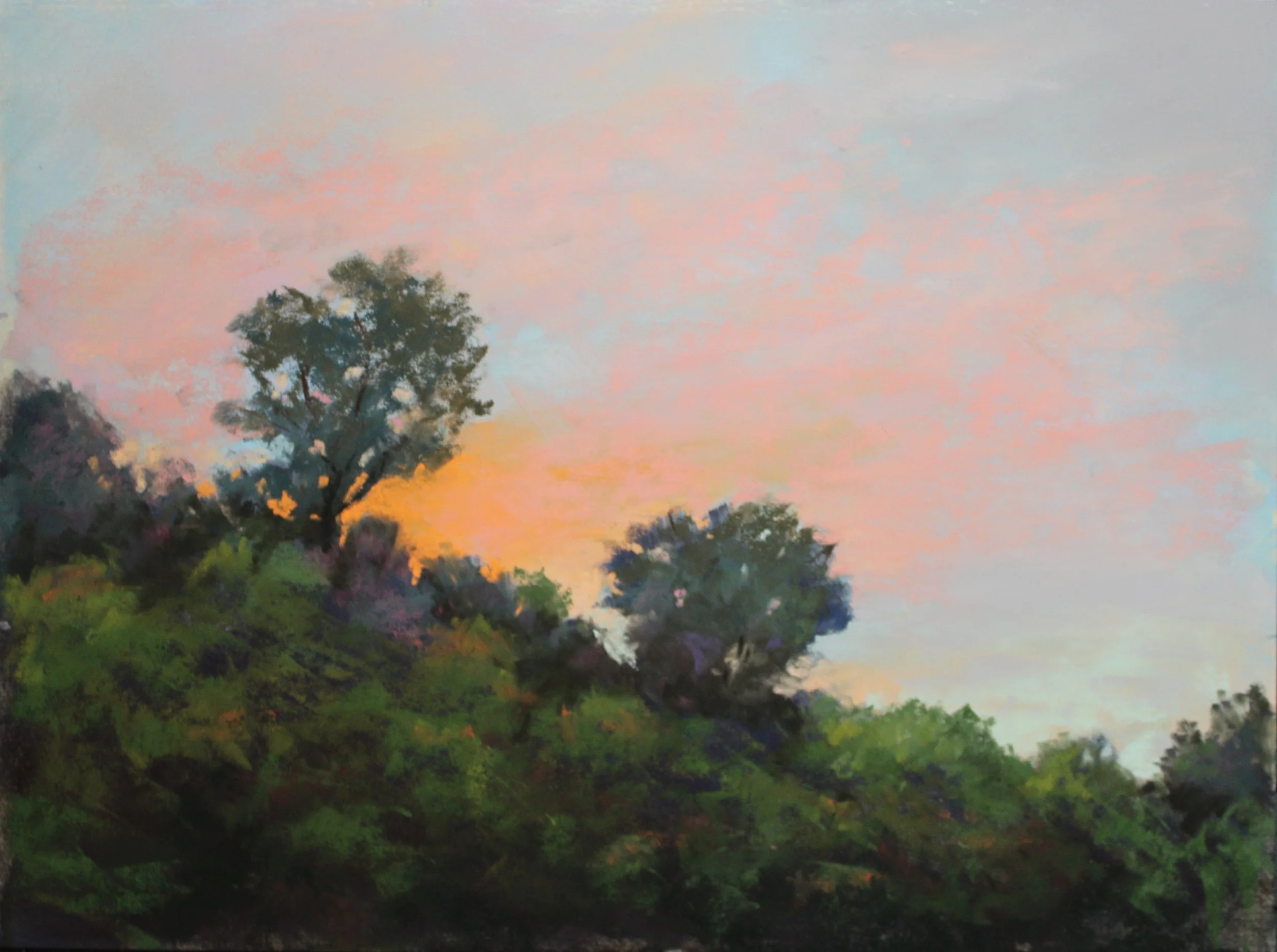 Sunset on Prairie Creek