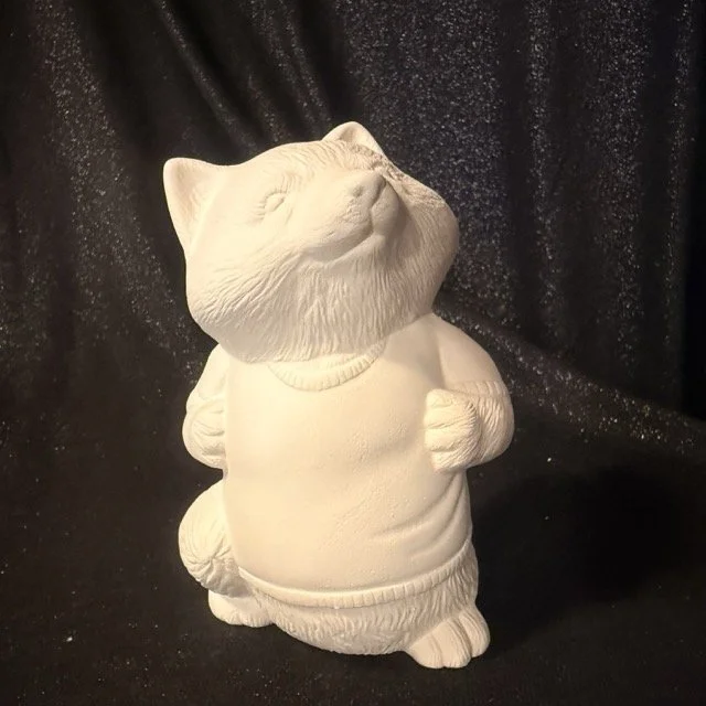 Raccoon Wearing a Shirt