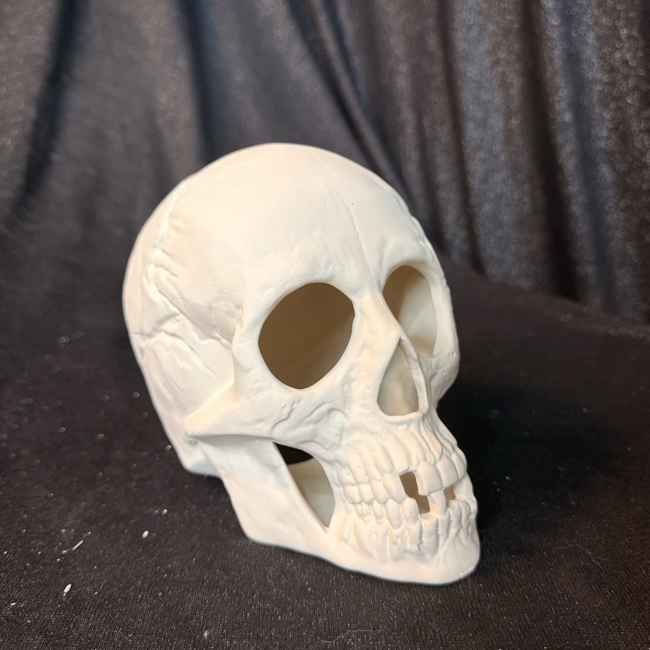 Skull.jpeg
