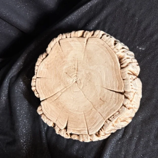 Stump 1.jpeg