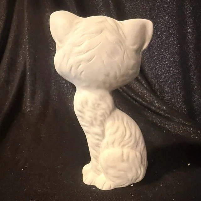 Cat - Big Eyes.jpeg1.jpeg