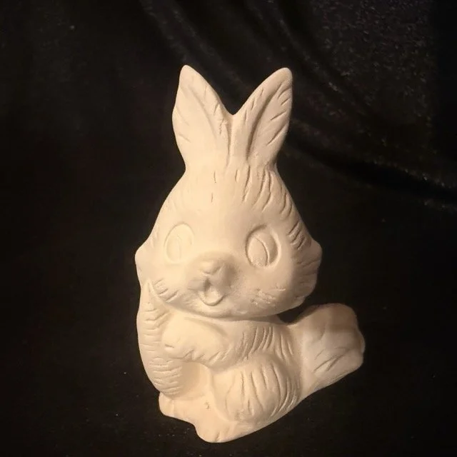 Rabbits Small Carrot.jpeg