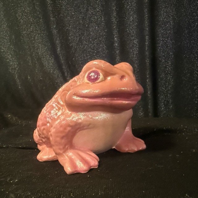 The Toad Who Knows