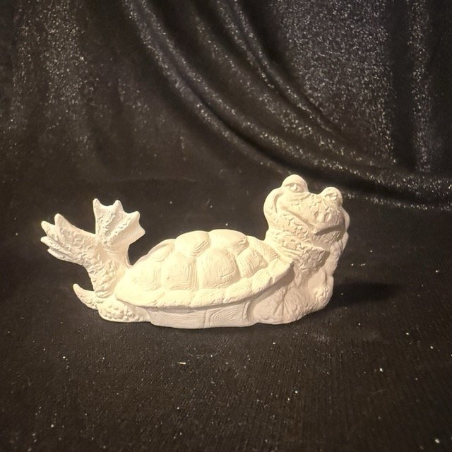 Attitude Turtle on Belly.jpeg