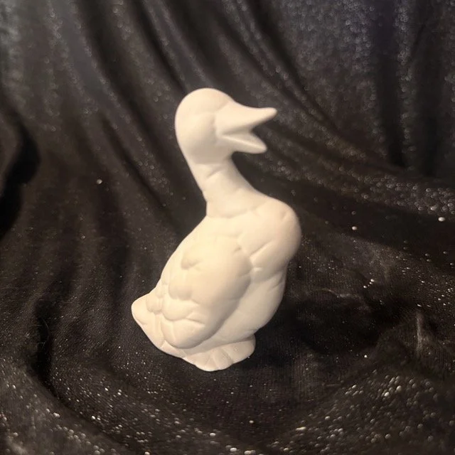 Ducks Softee Standing.jpeg