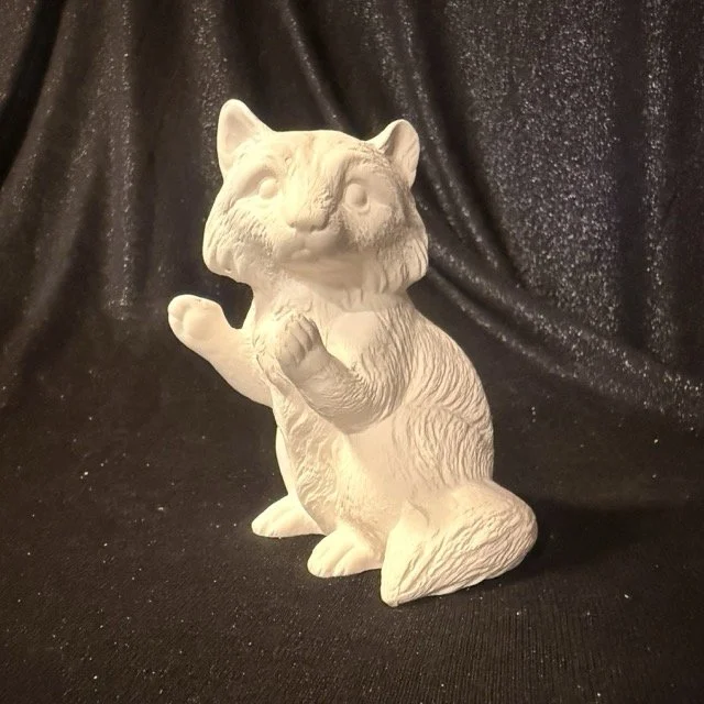 Rufus Snagglepaws the Raccoon