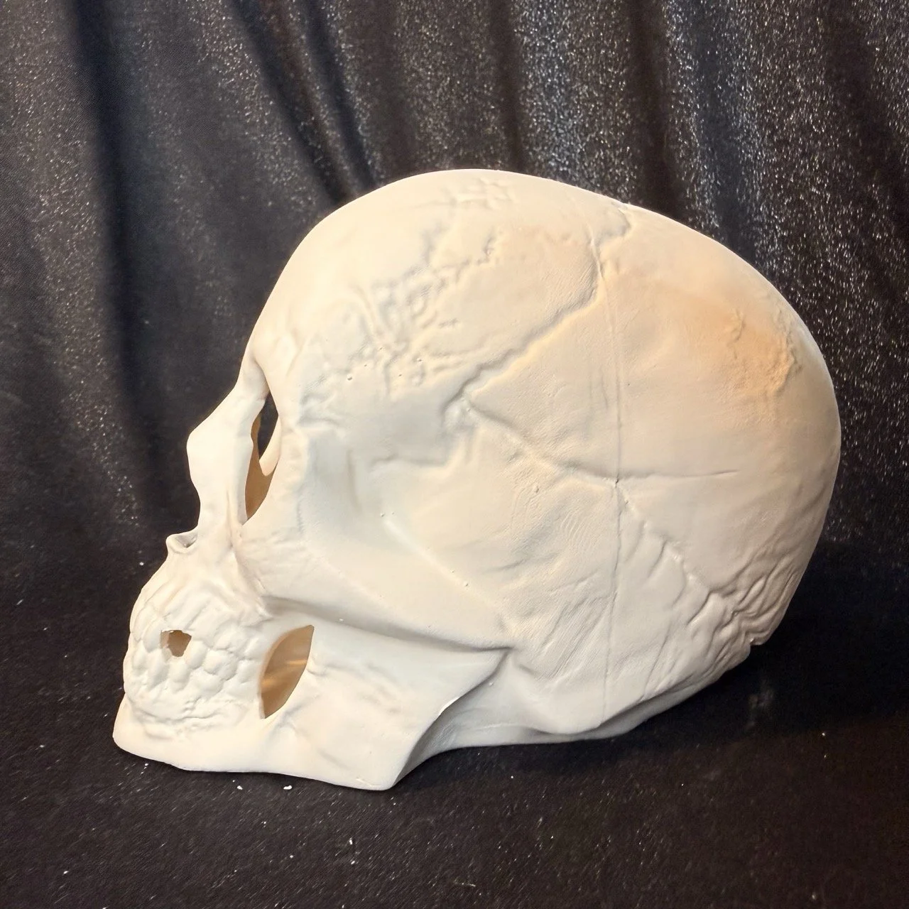 Skull4.jpeg