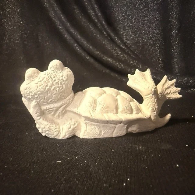 Attitude Turtle on Belly1.jpeg