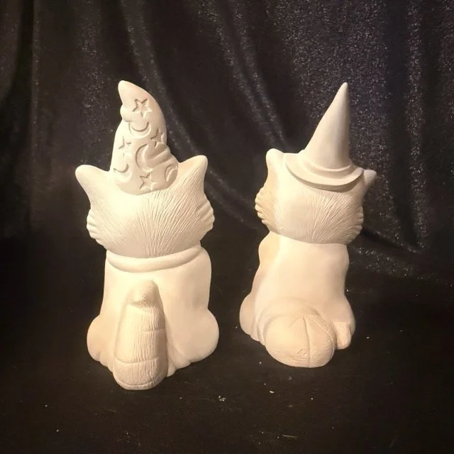 Halloween Raccoons 1.jpeg