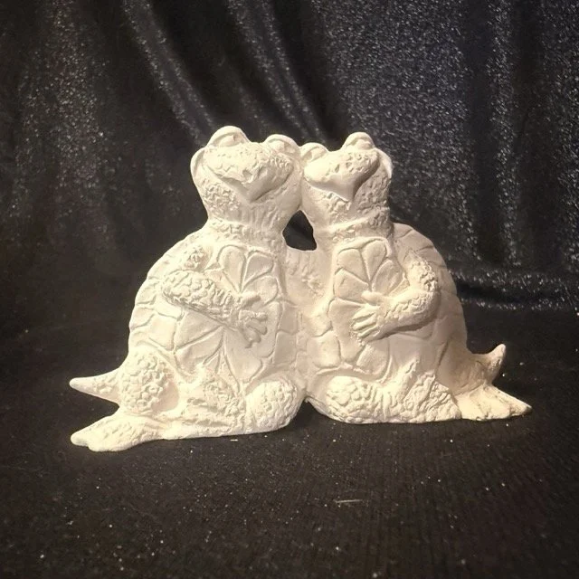 Attitude Turtle Couple.jpeg