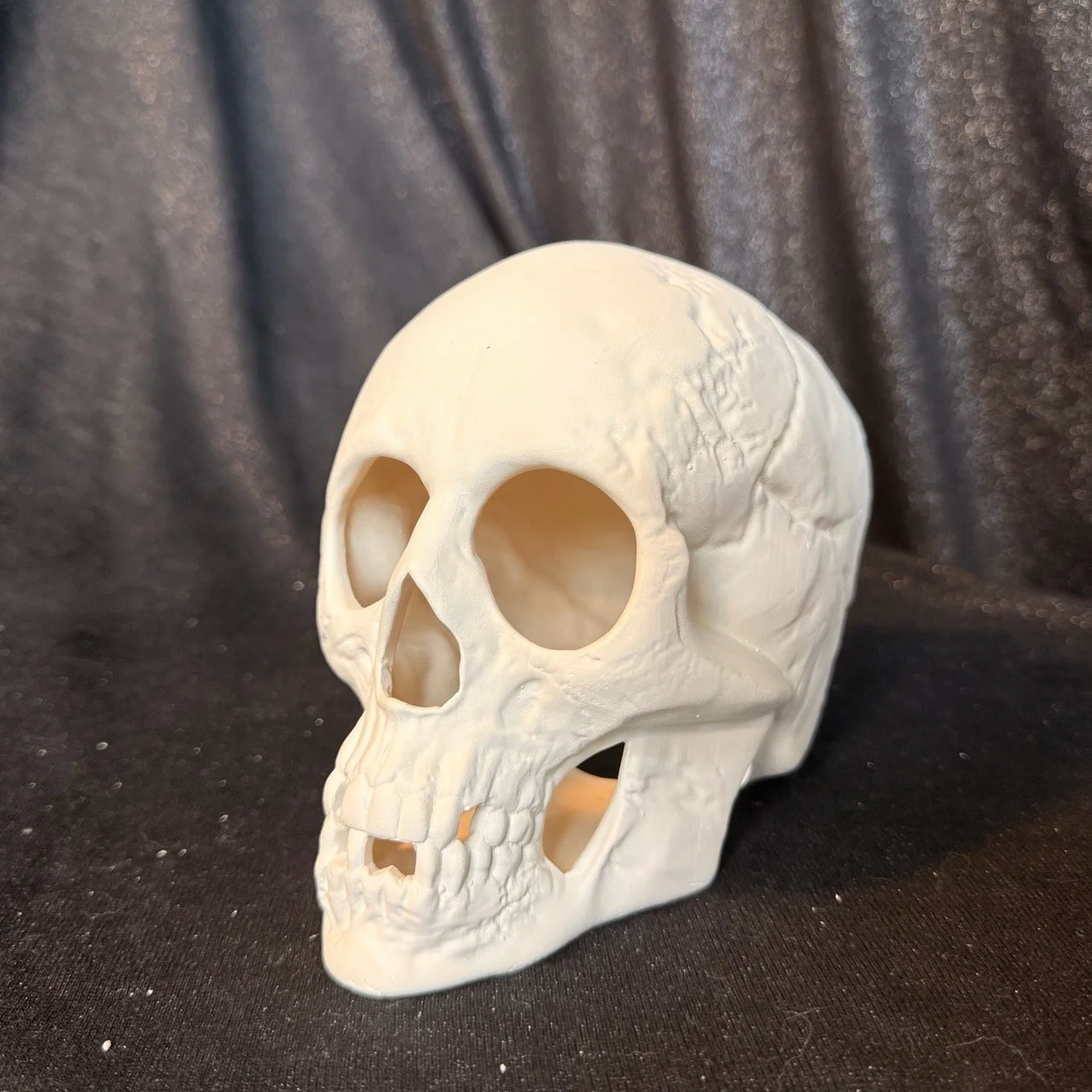 Skull1.jpeg