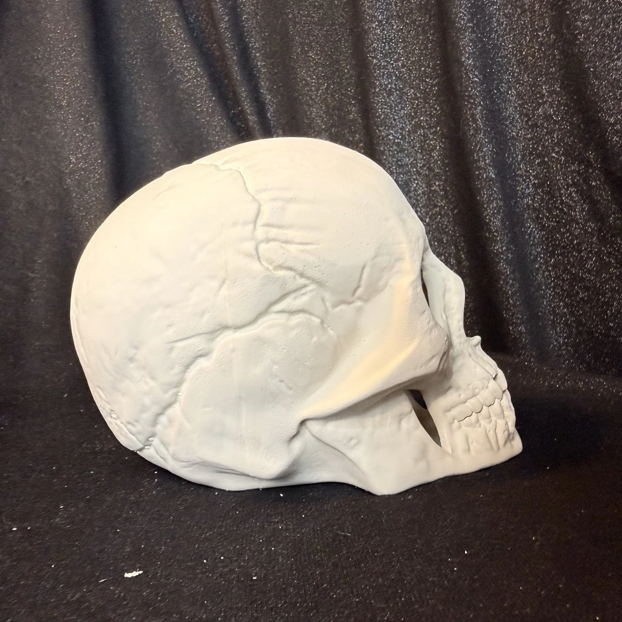 Skull3.jpeg