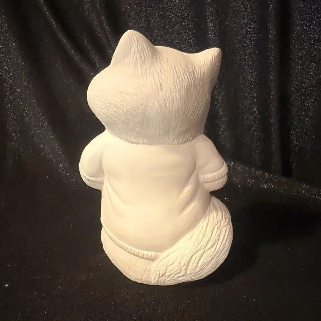 Raccoon with shirt1.jpeg