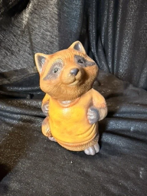 Raccoon in Shirt.jpeg