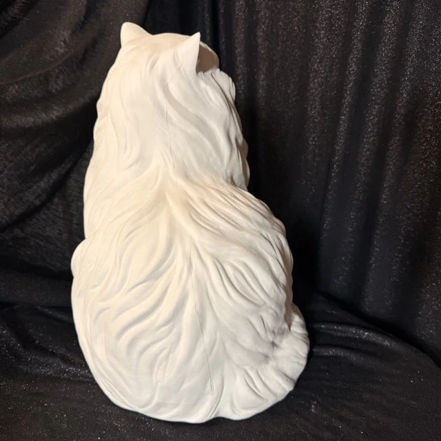 Cat-big2.jpeg