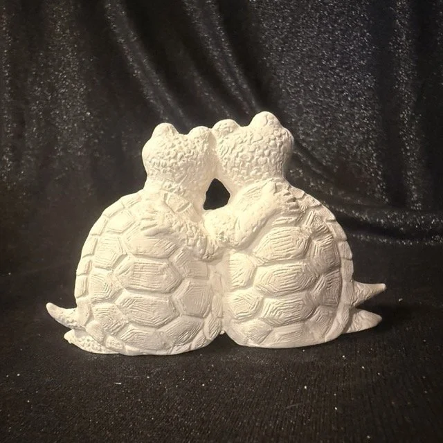 Attitude Turtle Couple1.jpeg