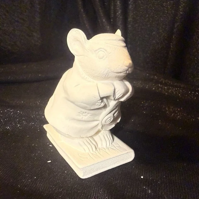 Raccoon and Mouse 2.jpeg