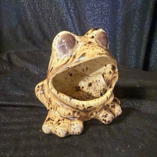 Frog - Rylee.jpeg