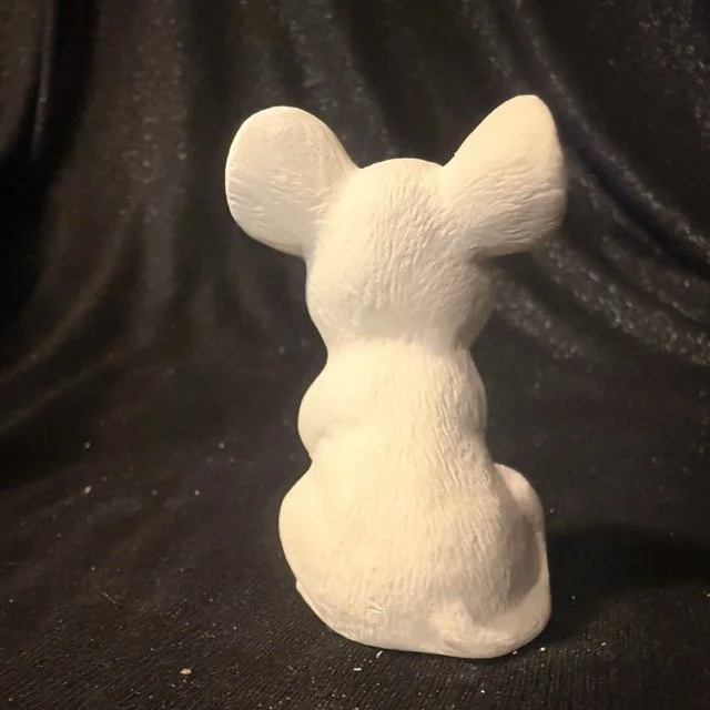 Mouse1.jpeg