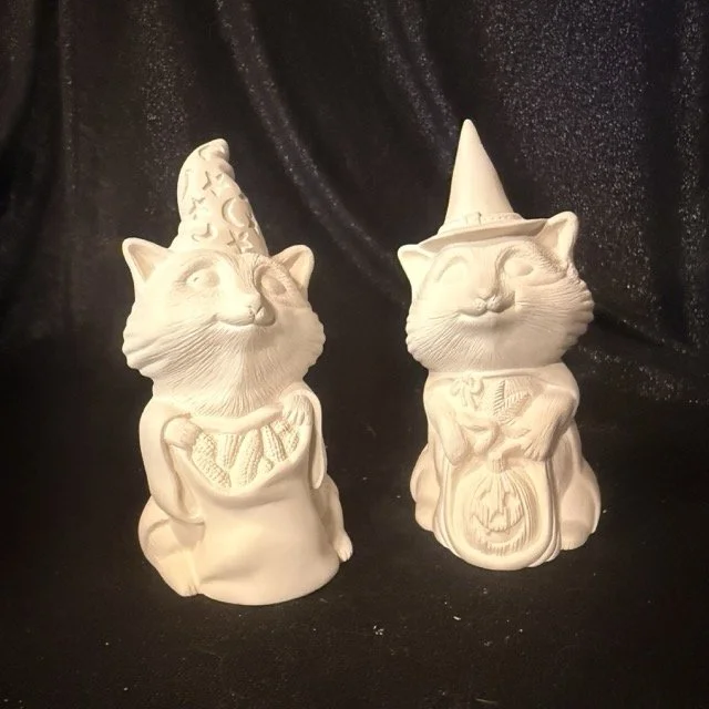 Halloween Raccoons.jpeg