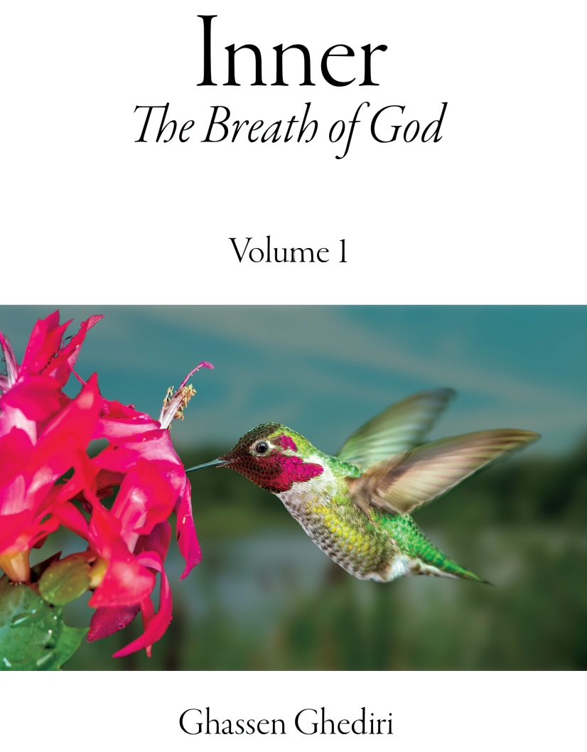 The Eastern Hummingbird Lapping