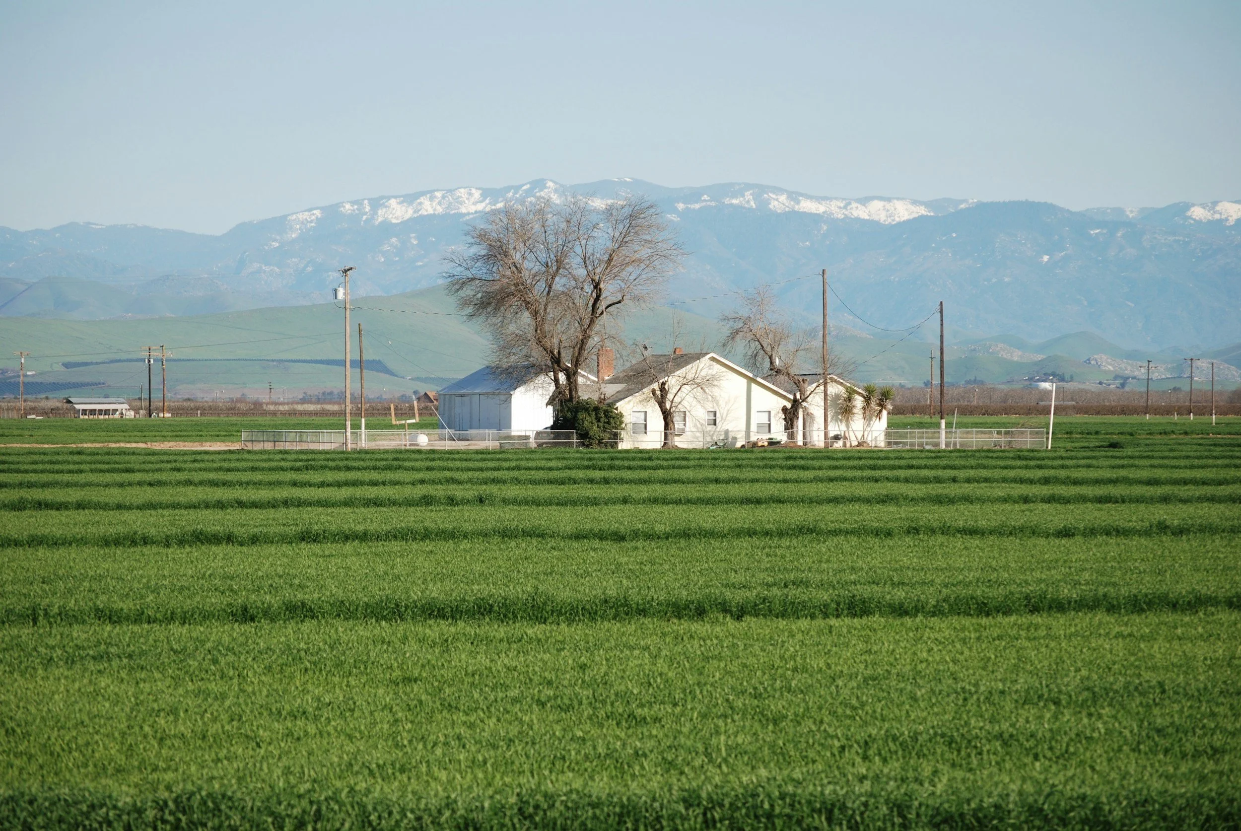 A house surrounded by trees and lush green agricultural fields, with rolling hills and snow-capped mountains in the background under a clear sky.