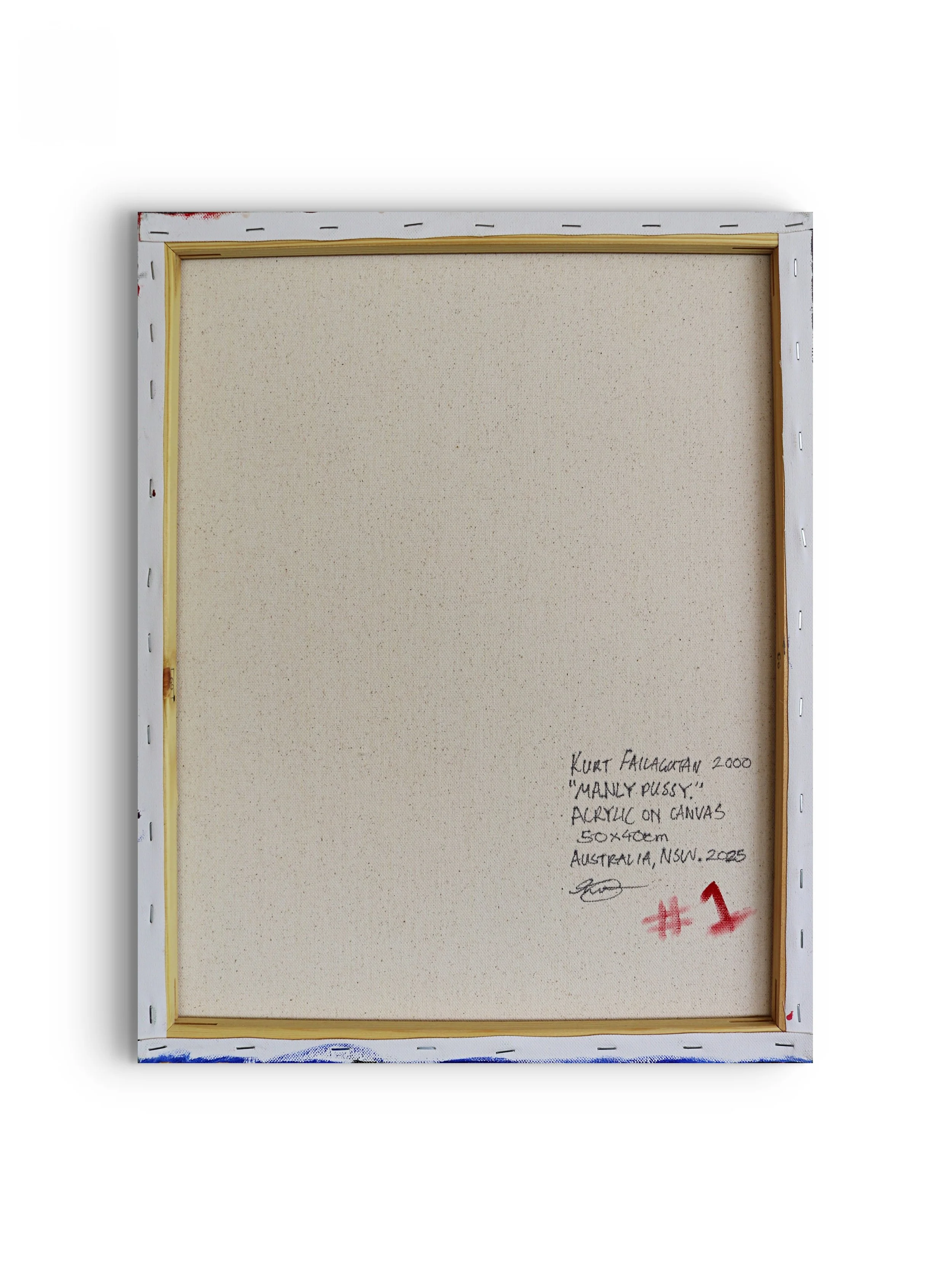 MANLY PUSSY backshot frameit.jpg