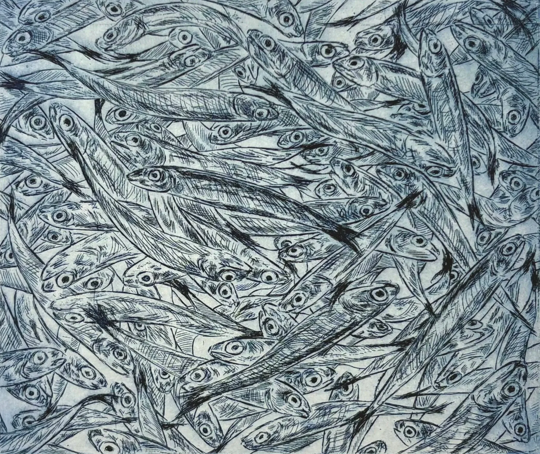 School of Anchovies, 2025, Ink on paper 