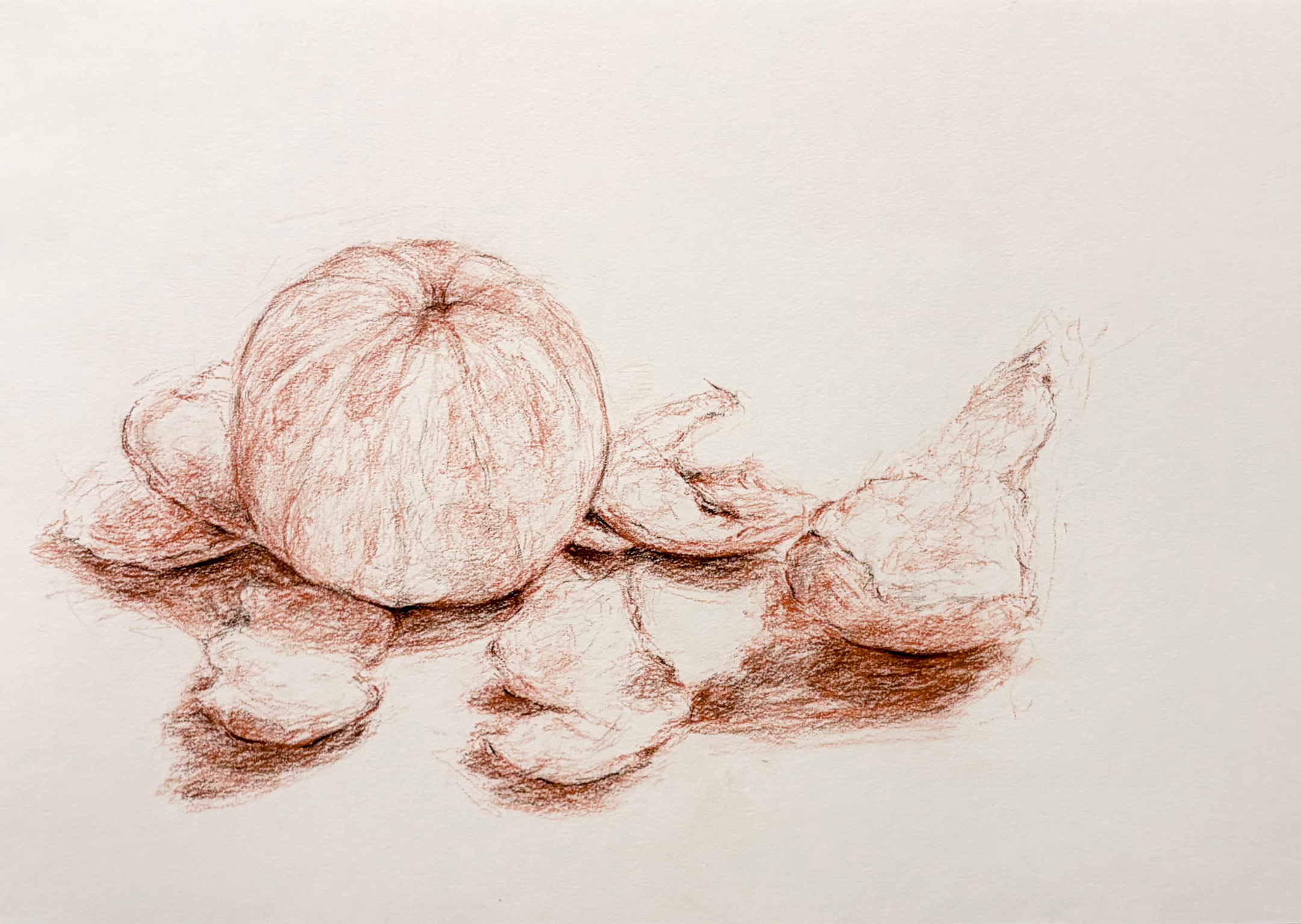 Oranges #1, 2025, Conté on paper