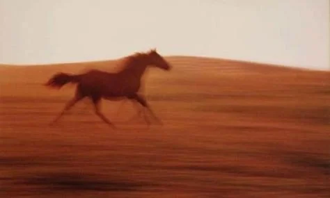 Stepping Into 2026: Gratitude, Intentions, and Becoming