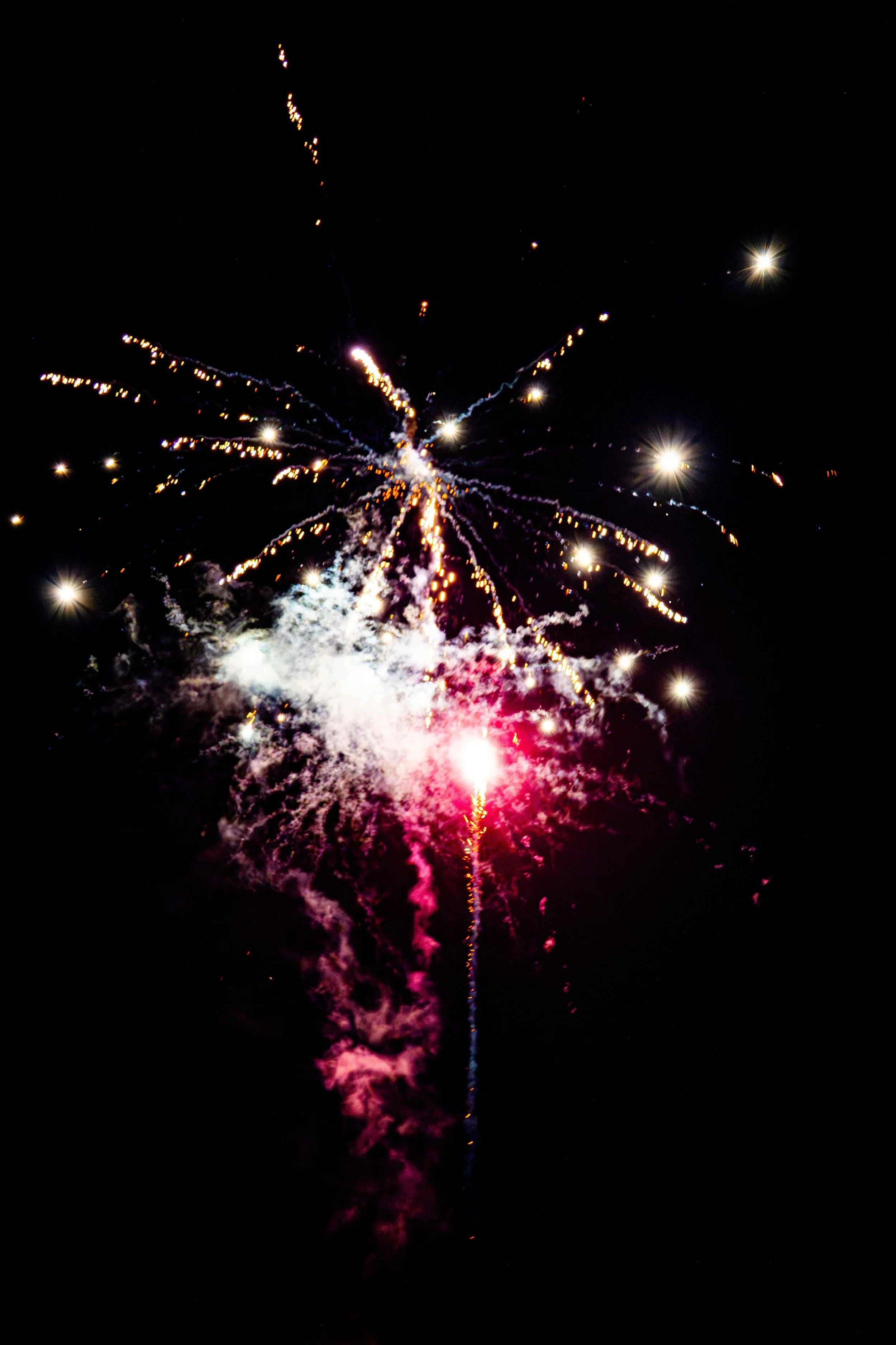 DSC03239.1.jpg