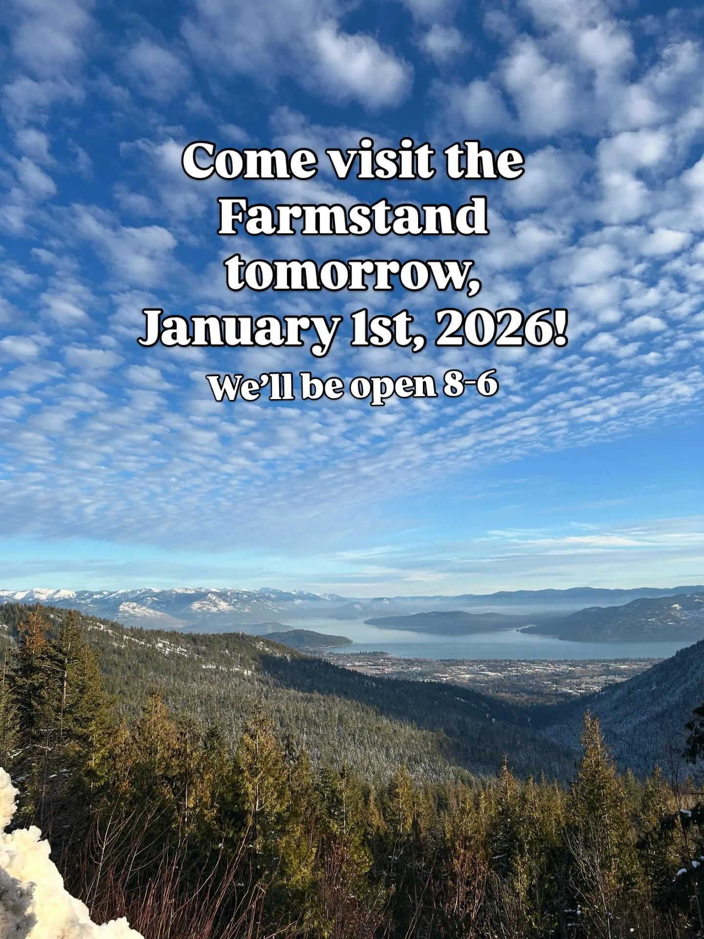 Begin the new year with some homemade goodness from our farmstand! Lots of variety for anyone and everyone. 

Chocolate Chip Cookies
Moose Munch Cookies - GF
Chocolate Protein Balls - GF 
Sourdough Brownies 
Sourdough Cinnamon Rolls 
Sourdough Apple 