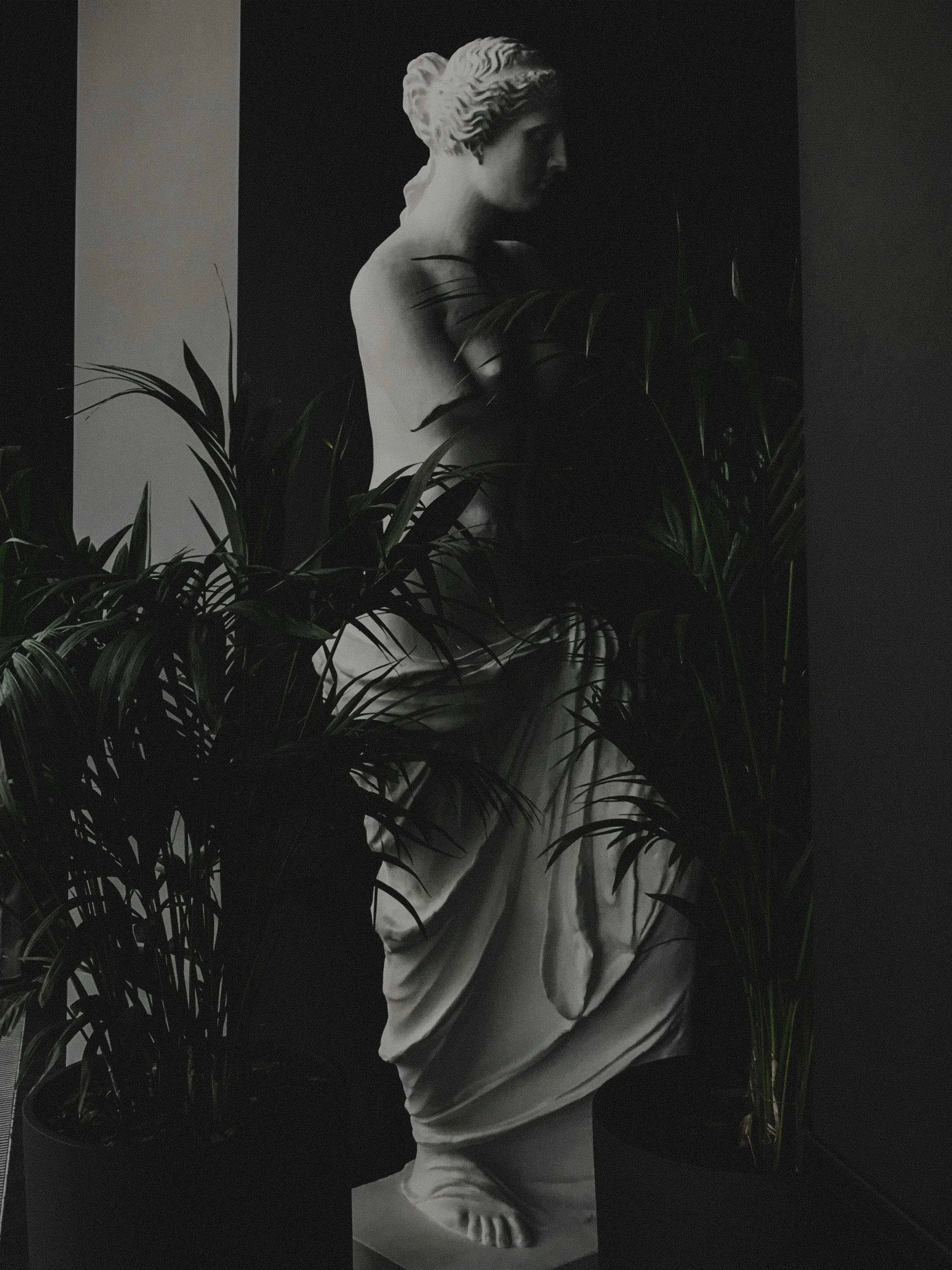 A black and white statue of a young girl with short curly hair, standing among tall leafy plants, with a dark background.