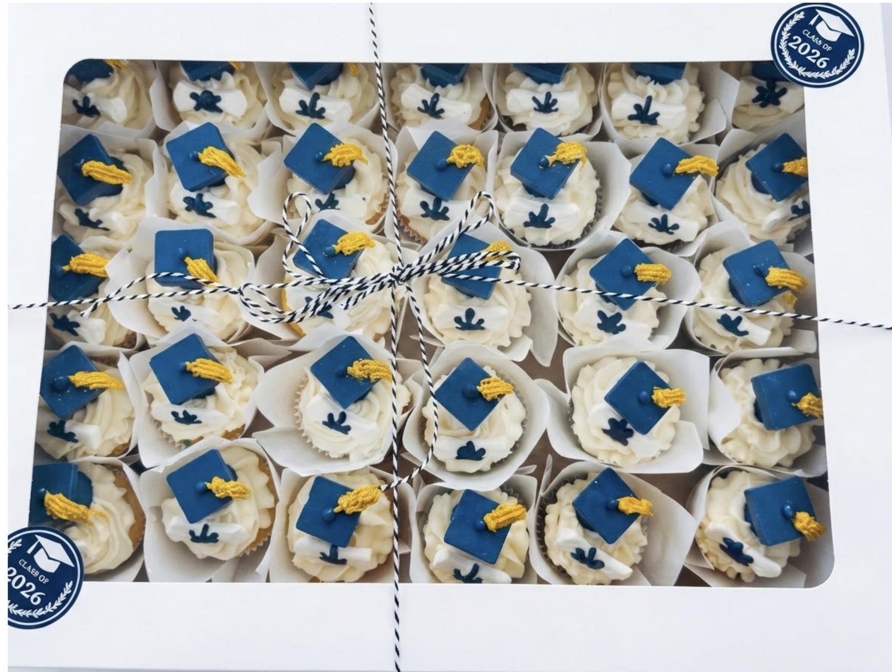 Confetti/chocolate buttercream cupcakes