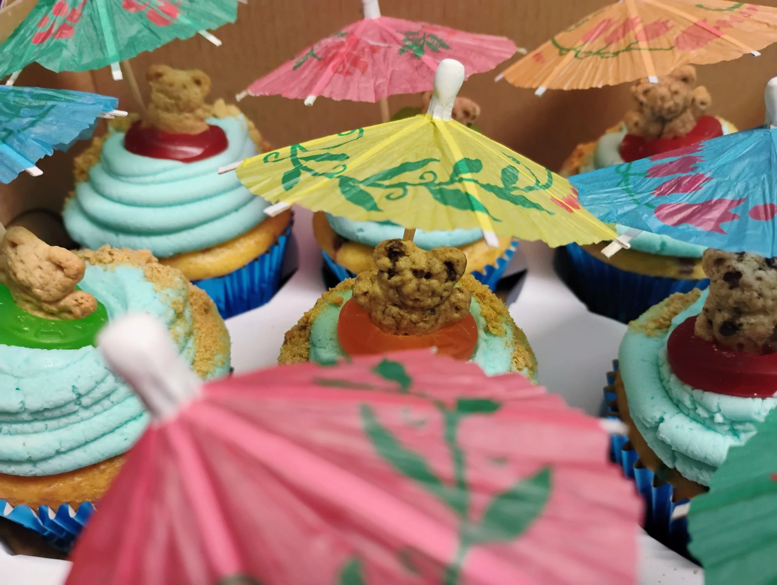 Beachy Bear Cupcakes by the Dozen