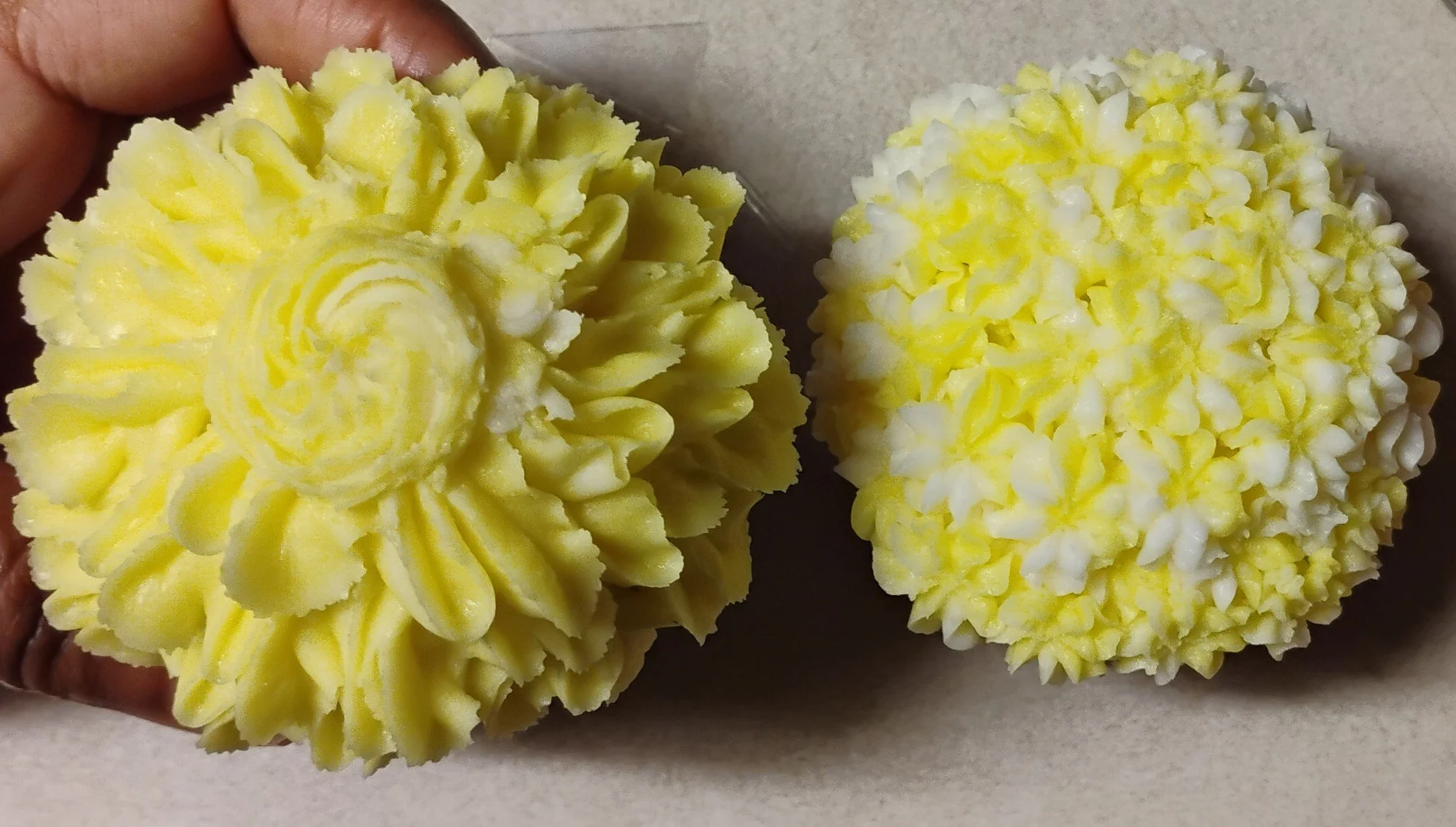 Box of turquoise cupcakes with frosting arranged in a grid pattern, wrapped with a dark blue satin ribbon tied in a bow.