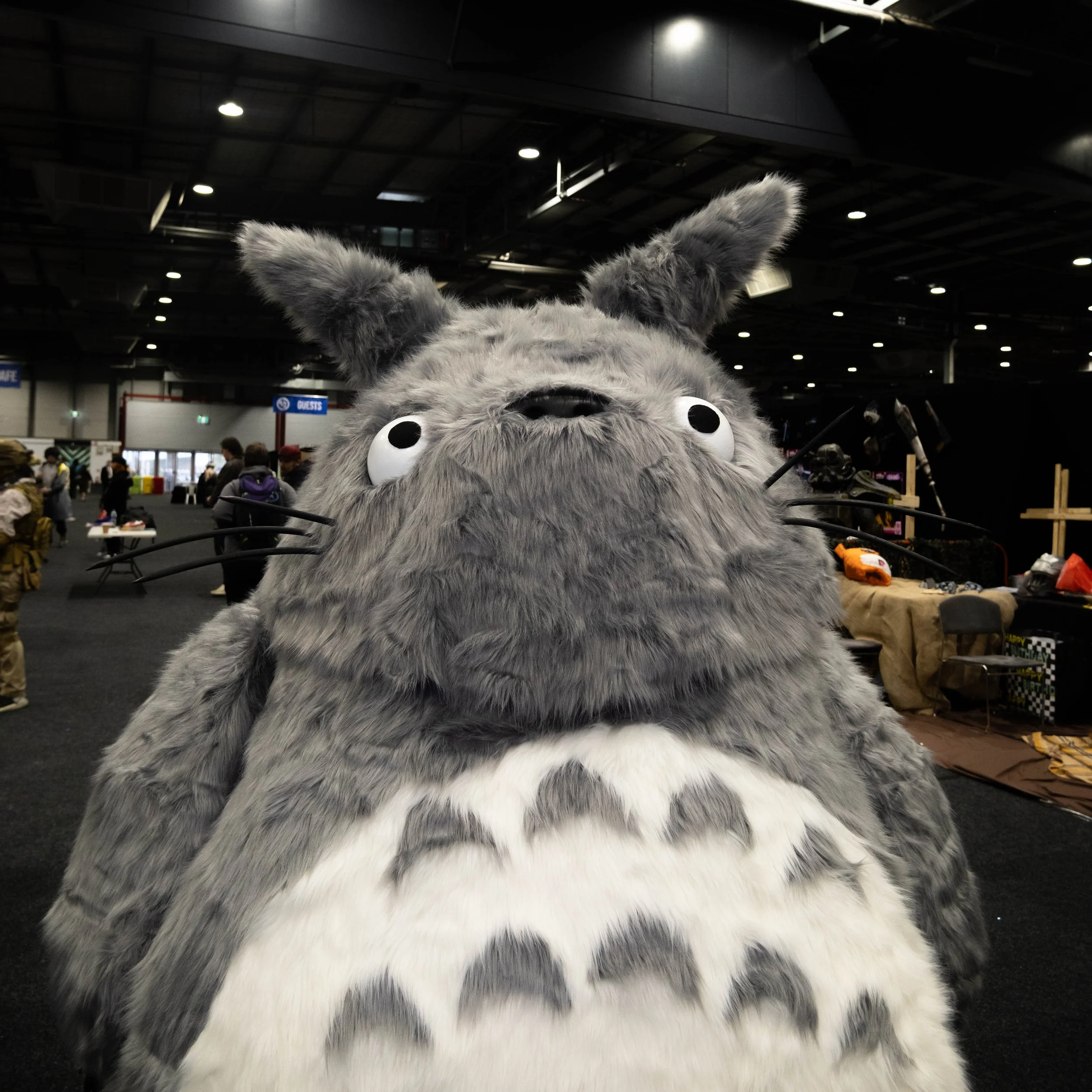  Teagan  @the_evil_twin__  as Totoro 