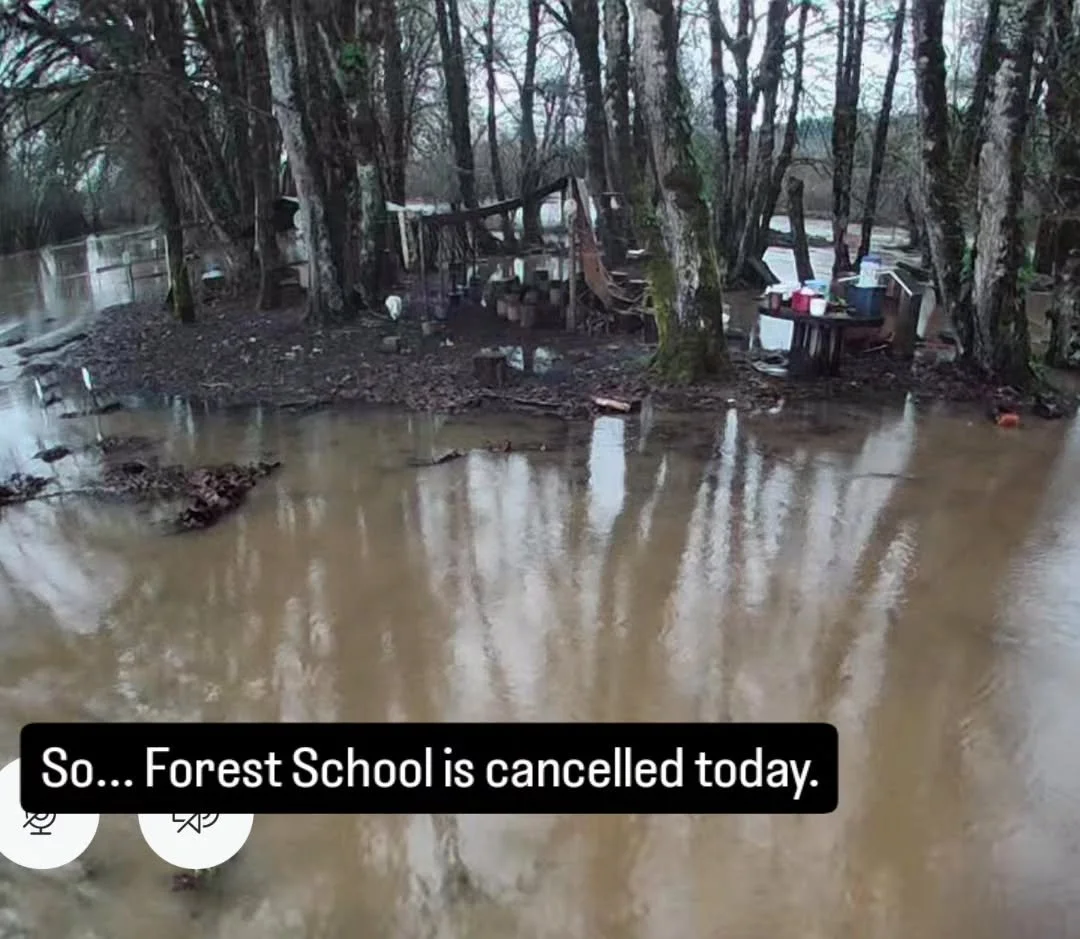 There are benefits of operating in a flood zone (no poison oak!).
Aaand there are some drawbacks. 
We usually have to cancel for flooding at least once a year. But, usually that is only because the ditch is overflowing. This is the highest the river 