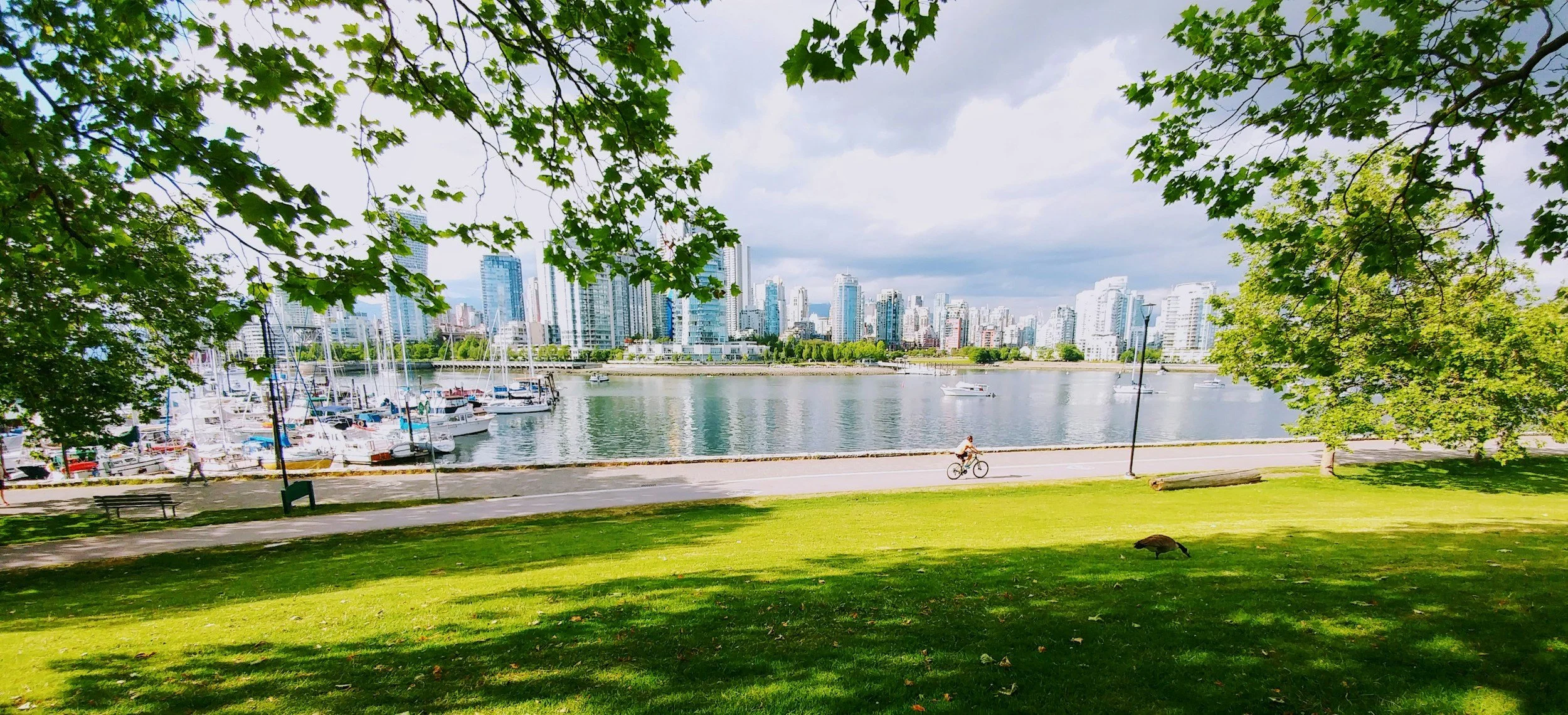 Residential: Eco-Friendly Summer Prep