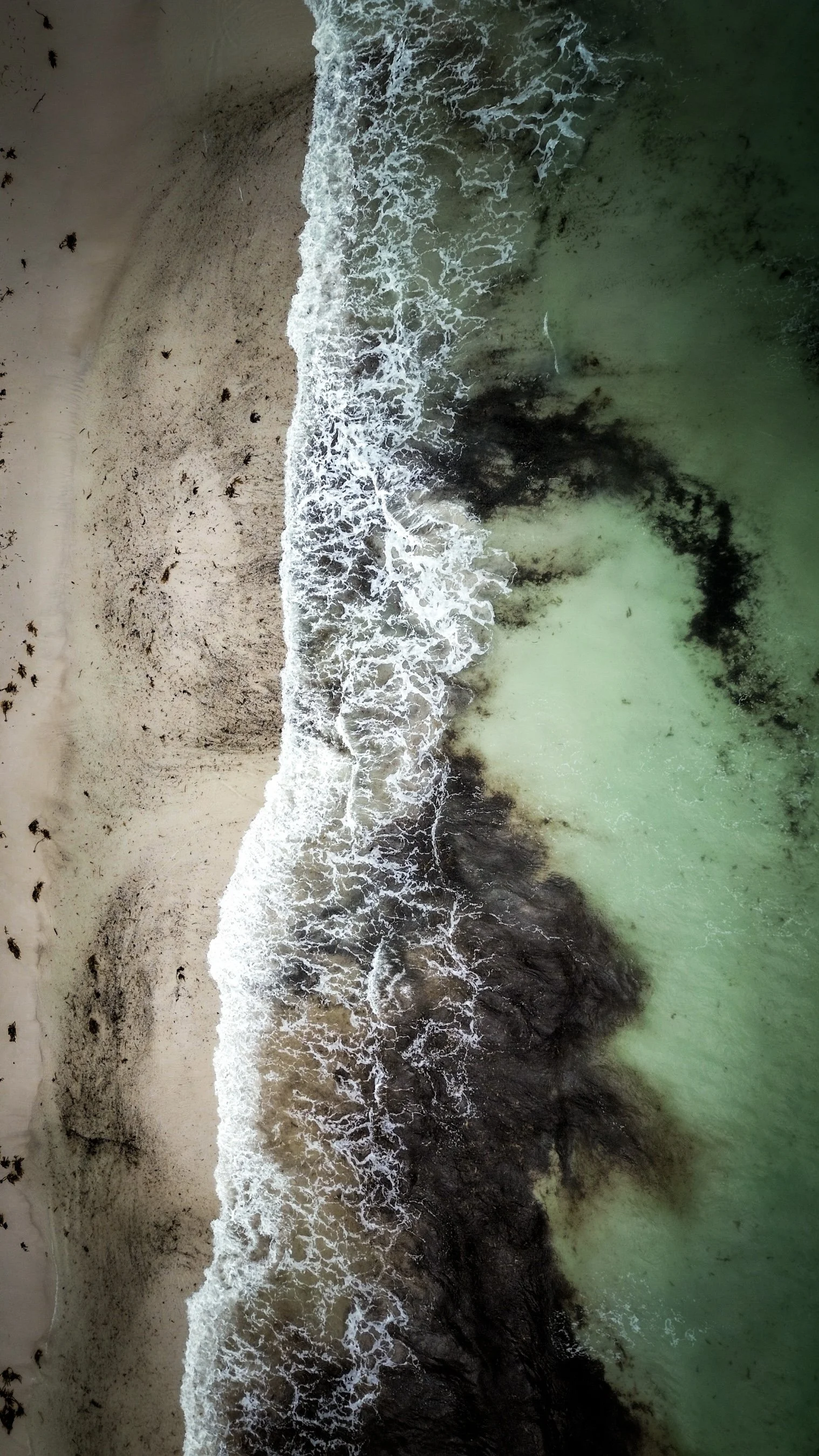 dji_fly_20250129_174330_426_1738133046948_photo_optimized.jpg