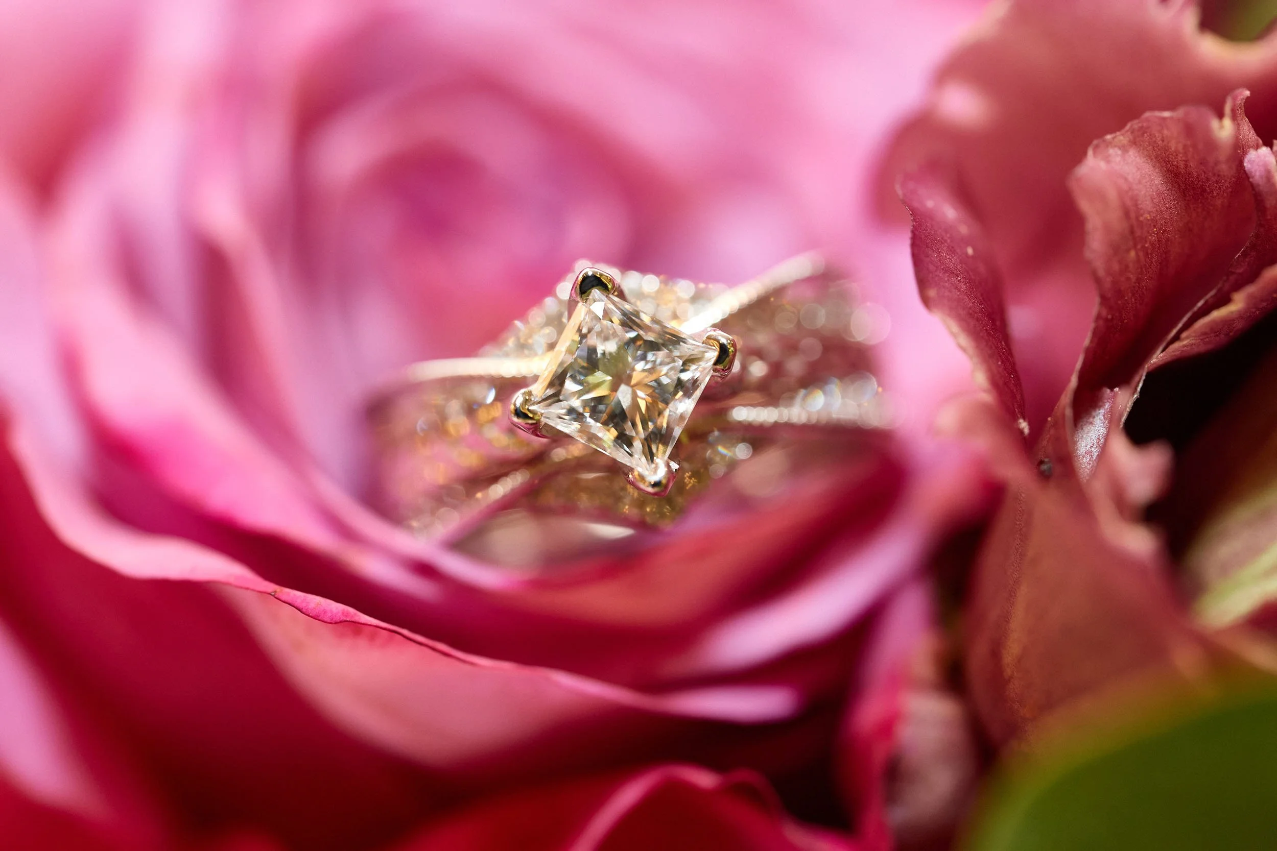 1cor1313com Photography_002.jpg