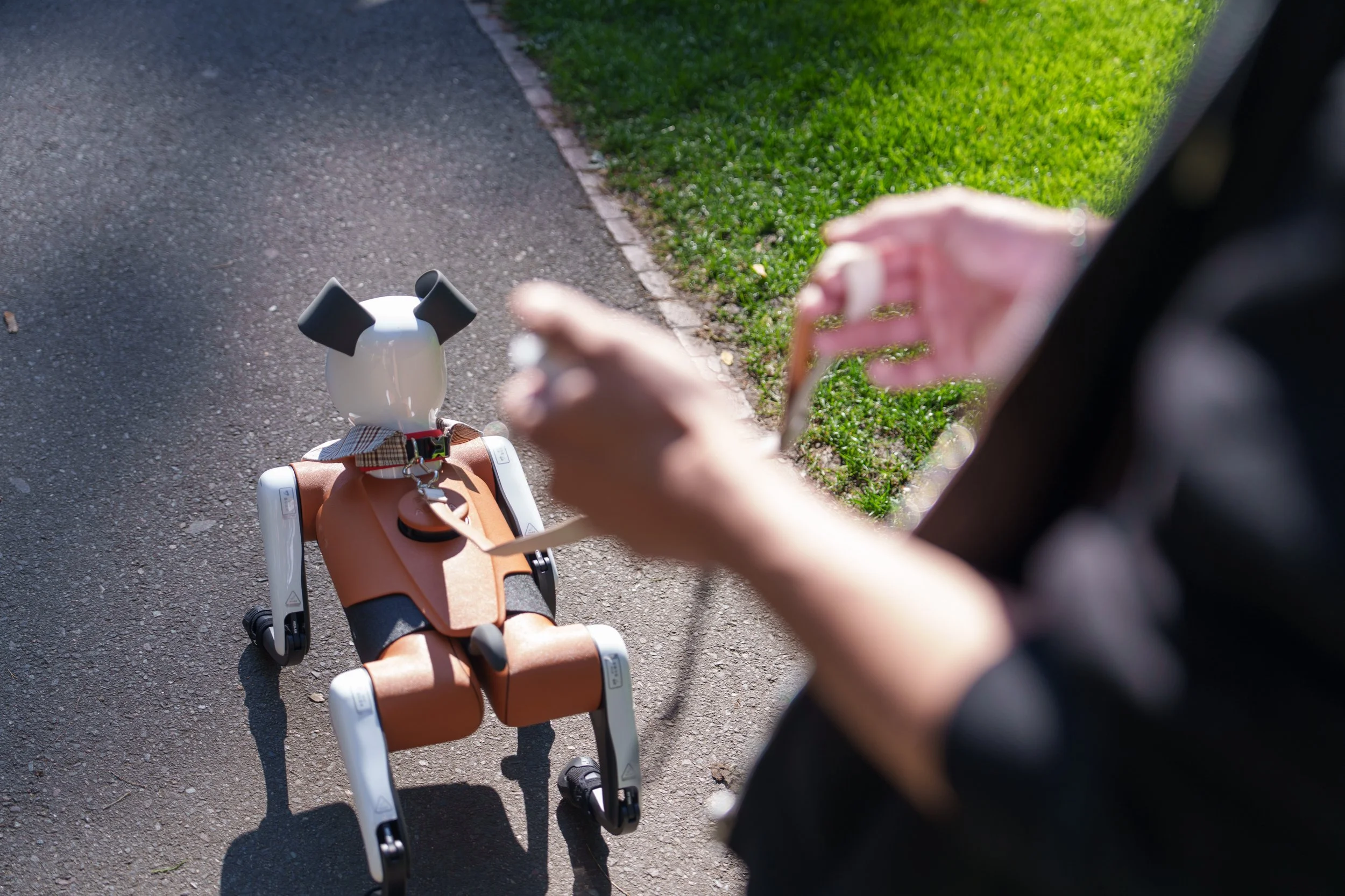 Revised Project Charter