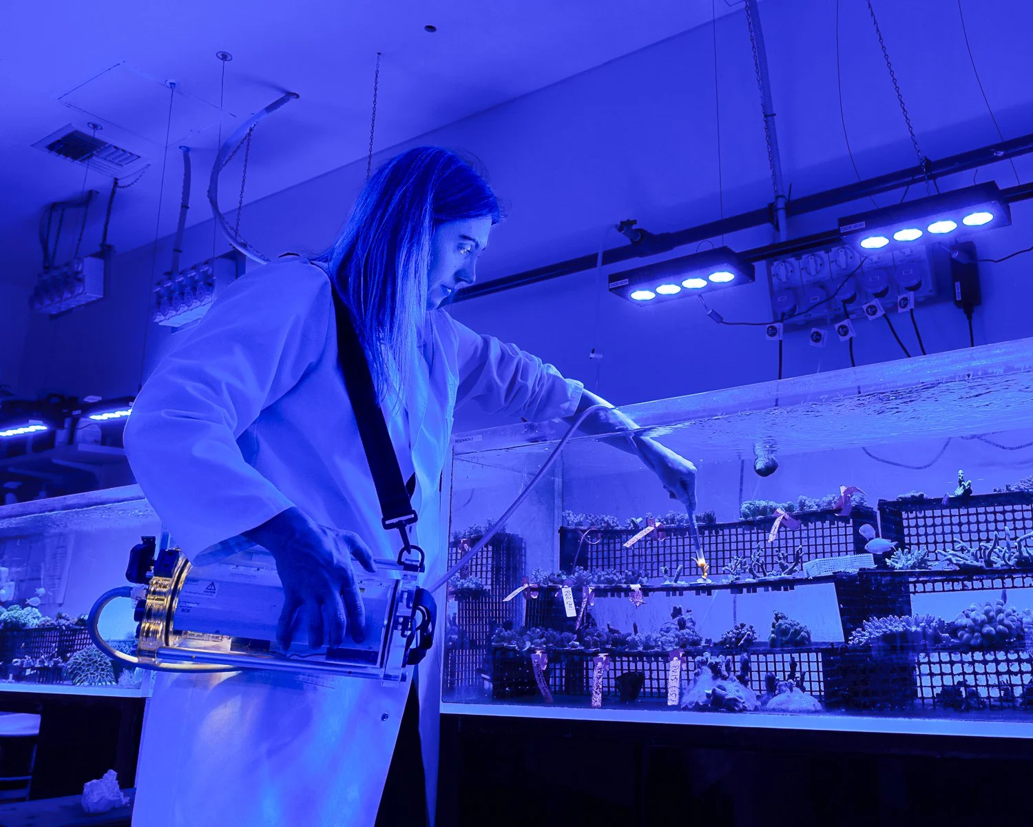 Monitoring coral health in controlled conditions